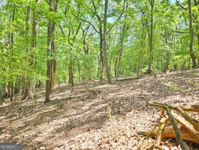 Lake Lot For Sale in Jasper, Georgia