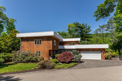 Stunning, Renovated Contemporary Waterfront - photo 5