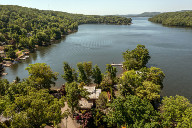 Stunning, Renovated Contemporary Waterfront - photo 3