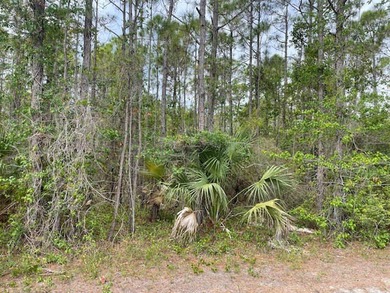 St George Island! Nice level lot that is close to the beach yet - photo 2