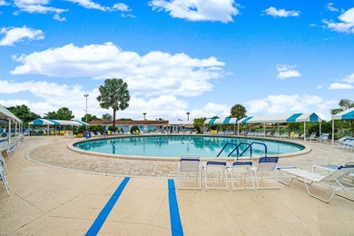 Experience the best of Florida living in this stunning villa! - photo 23