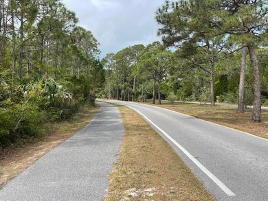 St George Island! Nice level lot that is close to the beach yet - photo 4