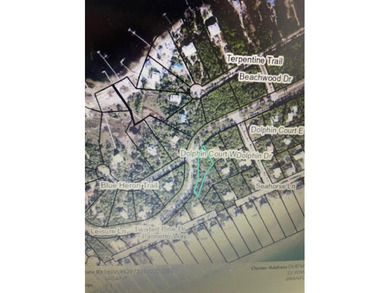 St George Island! Nice level lot that is close to the beach yet - photo 9