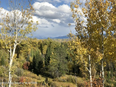 FISH CREEK FRONTAGE, WILSON, WY. This parcel is comprised of - photo 46