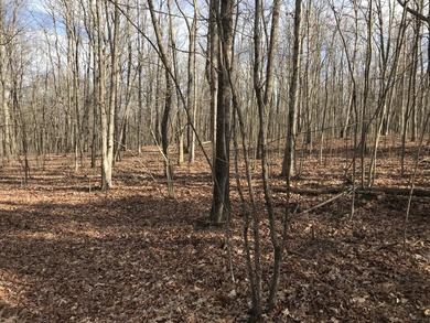 Beautiful 3.72 acre lot in Greenfields Estates! Lot is fully - photo 2