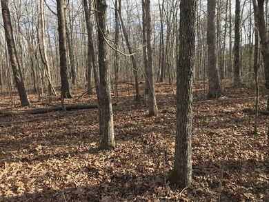 Beautiful 3.72 acre lot in Greenfields Estates! Lot is fully - photo 3