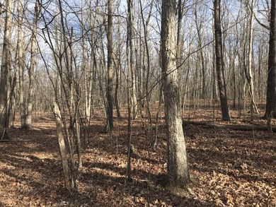 Beautiful 3.72 acre lot in Greenfields Estates! Lot is fully - photo 4