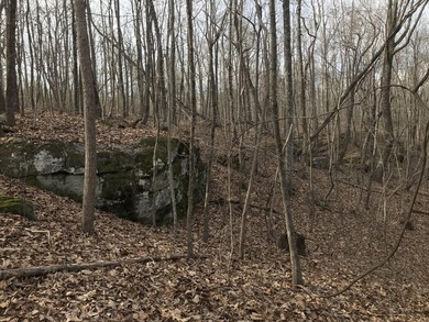 Beautiful 3.72 acre lot in Greenfields Estates! Lot is fully - photo 5