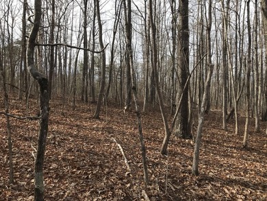 Beautiful 3.72 acre lot in Greenfields Estates! Lot is fully - photo 6