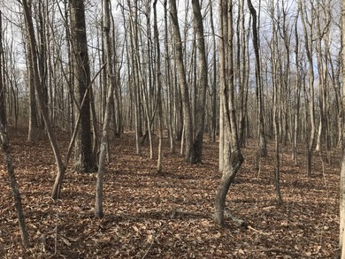 Beautiful 3.72 acre lot in Greenfields Estates! Lot is fully - photo 7