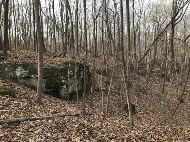 Beautiful 3.72 acre lot in Greenfields Estates! Lot is fully - photo 8