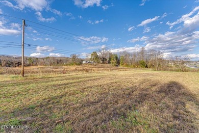 Cleared and level lot, zoned for commercial and residential use - photo 18