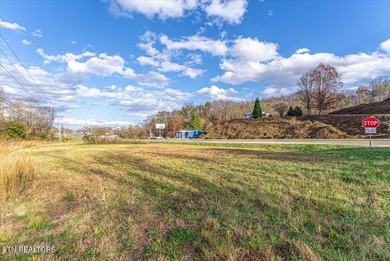 Cleared and level lot, zoned for commercial and residential use - photo 19