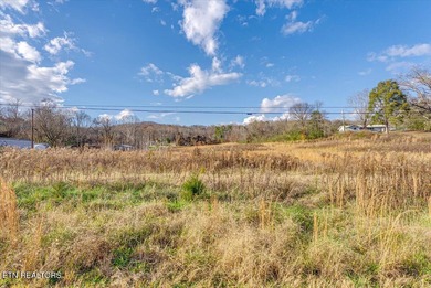 Cleared and level lot, zoned for commercial and residential use - photo 20