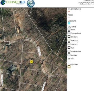 Lake Lot For Sale in Lake Lure, North Carolina