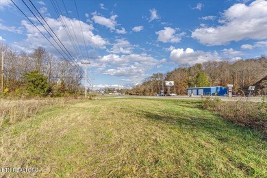 Cleared and level lot, zoned for commercial and residential use - photo 21