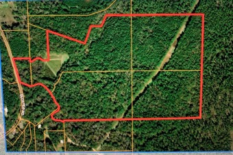 (private lake, pond, creek) Acreage For Sale in Meadville Mississippi