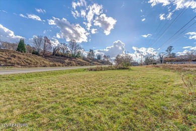 Cleared and level lot, zoned for commercial and residential use - photo 22