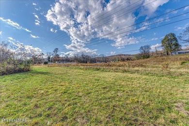 Cleared and level lot, zoned for commercial and residential use - photo 23