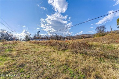 Cleared and level lot, zoned for commercial and residential use - photo 24