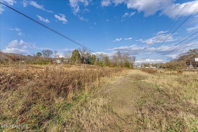 Cleared and level lot, zoned for commercial and residential use - photo 25