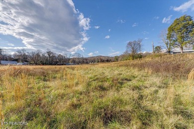 Cleared and level lot, zoned for commercial and residential use - photo 26