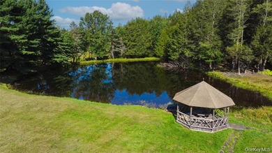 Escape to the serenity of Sullivan County with this modern and - photo 27
