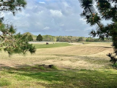 Rare opportunity to own a golf course lot in the sought-after - photo 7