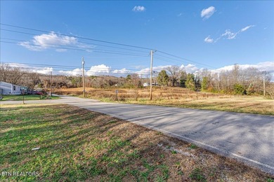 Cleared and level lot, zoned for commercial and residential use - photo 30