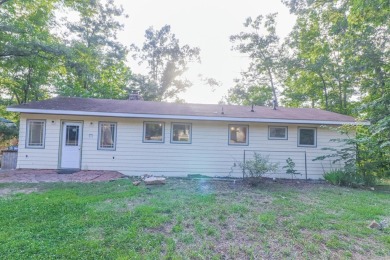 Lake Home For Sale in Williford, Arkansas