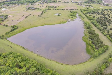 Rare opportunity to own a private, Ag-exempt estate just minutes - photo 3