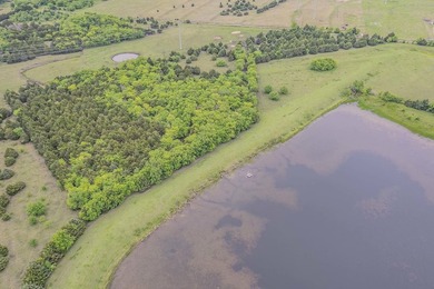 Rare opportunity to own a private, Ag-exempt estate just minutes - photo 4