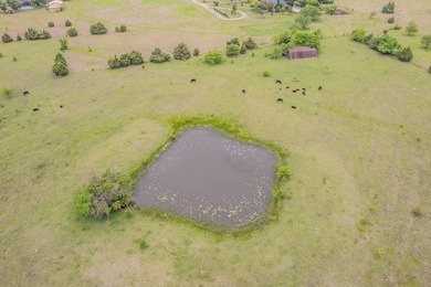 Rare opportunity to own a private, Ag-exempt estate just minutes - photo 7