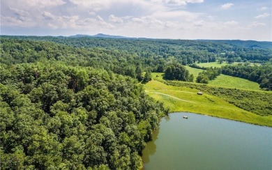 Twin Mountain Lakes Acreage Sale Pending in Talking Rock Georgia