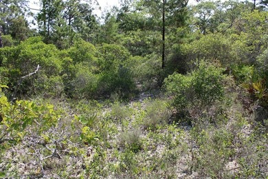 Here is a rare corner lot in the exclusive Magnolia Bay gated - photo 3