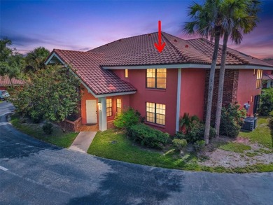 Coastal Living Just Minutes from Siesta Key Beach! Welcome to - photo 1