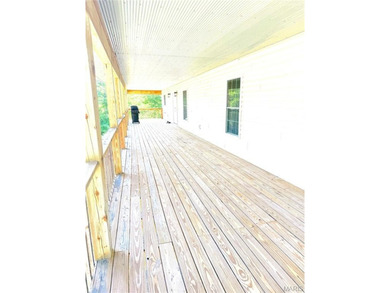 Custom-Built Home Near the Current River & Ozark Scenic - photo 8