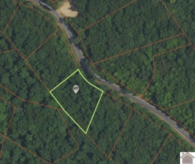 Lake Lot For Sale in Murray, Kentucky