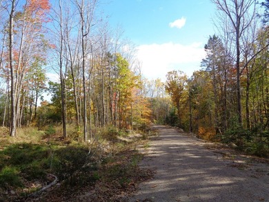 Developers, take notice. Close to many lakes and ponds, this is - photo 10