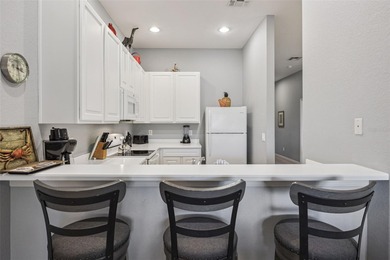 Experience the ultimate Florida lifestyle in this fully - photo 11