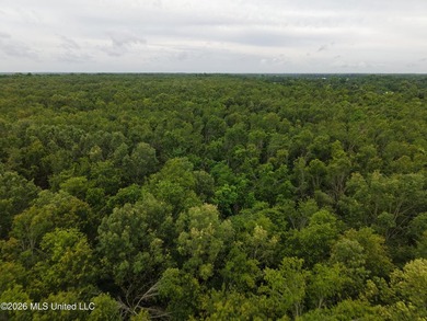Located in Richland Parish near Delhi, Louisiana, this - photo 11
