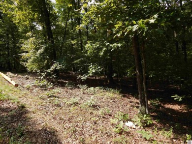 Kentucky Lake Lot For Sale in Gilbertsville Kentucky