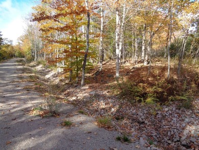 Developers, take notice. Close to many lakes and ponds, this is - photo 11