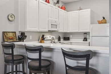 Experience the ultimate Florida lifestyle in this fully - photo 12