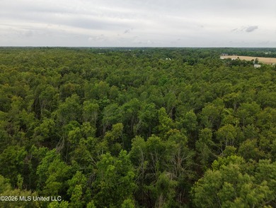 Located in Richland Parish near Delhi, Louisiana, this - photo 12
