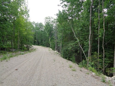 Developers, take notice. Close to many lakes and ponds, this is - photo 12