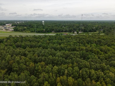 Located in Richland Parish near Delhi, Louisiana, this - photo 13