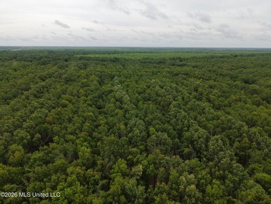Located in Richland Parish near Delhi, Louisiana, this - photo 14