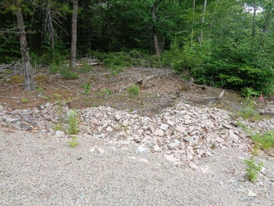 Developers, take notice. Close to many lakes and ponds, this is - photo 14