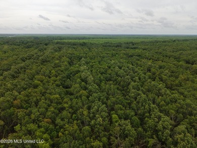 Located in Richland Parish near Delhi, Louisiana, this - photo 15